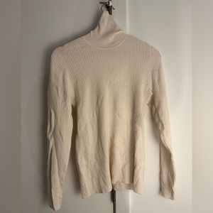 EUC Everlane Italian Merino Rib Turtleneck